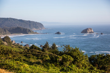 Landscape view of the coast of the Pacific Ocean in Redwood National Park (California).
