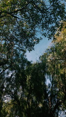 Processed with VSCO with c1 preset