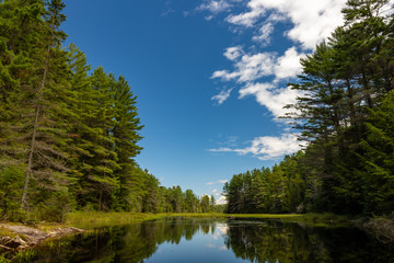 Obraz premium Beautiful scenery along shore of Canadian lake