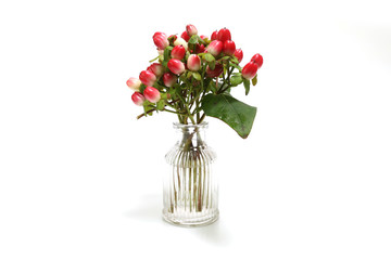 ガラス瓶に活けたヒペリカムの実