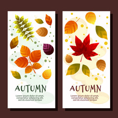Autumn sale vertical banner layout decorate with leaves for promo sale