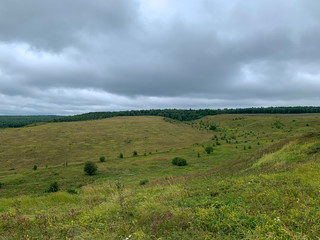 Hilly field with forest in the background in cloudy weather. Gray clouds in the sky. A grassy field. Cloudy weather, early autumn