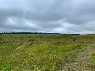 Hilly field with forest in the background in cloudy weather. In the distance, a woman collects oregano. Gray clouds in the sky. A field of grass.