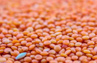 Red lentils close-up. Background with lots of organic groats.