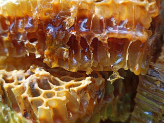 Fresh honey in comb. Healthy food concept, diet
