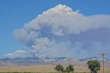 A forest fire burning in remote and rough terrain. In the Pine Gulch of the Rocky Mountains near...