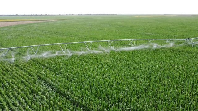 Top view, automatic field watering system, watering the field with corn.