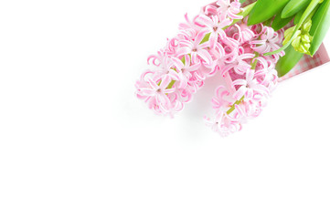 Beautiful pink hyacinth flower isolated on white background. Celebration concept, top view, copy space.