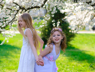 Obraz premium Beautiful young girls with blue eyes in a white dresses in the garden with apple trees blosoming having fun and enjoying smell of flowering spring garden.