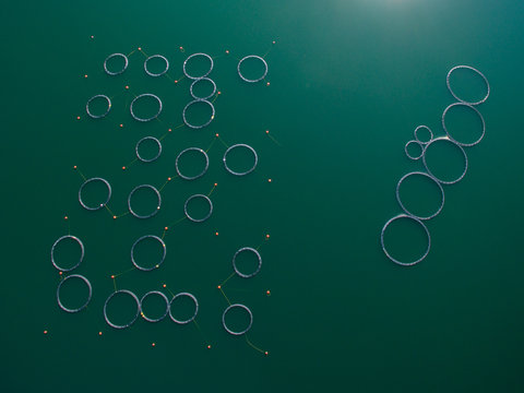 Fish farm, geometrical shapes, aerial view