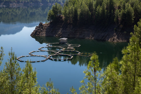 View of a fish farm on a lake