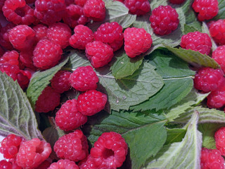 photo of raspberries and mint leaves. ingredients for mojito. Top view