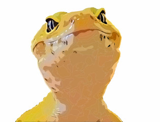 Leoperd gecko close up vector