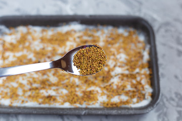 Micro green planting process. Golden flax seeds are planted on cotton wool in a gray tray on a light gray background. Selective focus. Healthy food concept