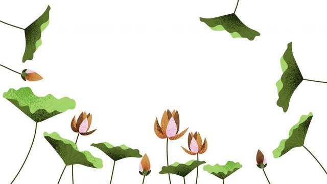 Growing plants and vines animation on white background in 4k cartoon.