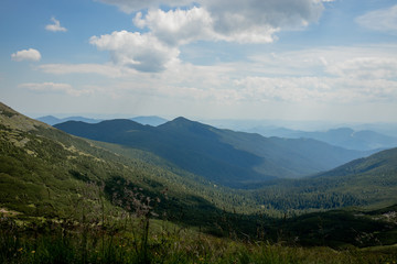 Carpathians mountain range at summer morning. Beauty of wild virgin Ukrainian nature. Peacefulness.