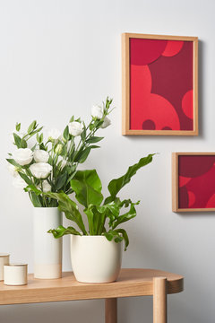 Plants on table near frames
