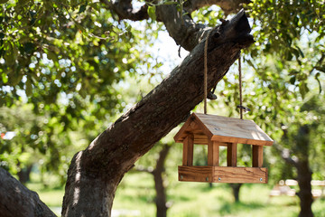 Wooden birdhouse hanging on the tree in garden