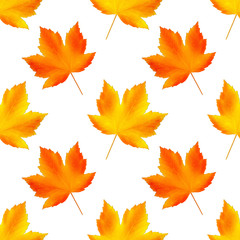 Seamless autumn pattern. Fallen leaves on white background, isolated