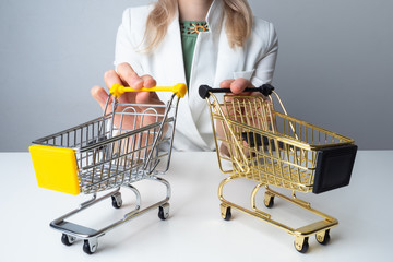 A woman next to two shopping carts. Consumer basket. Consumer behavior. Selecting the necessary...
