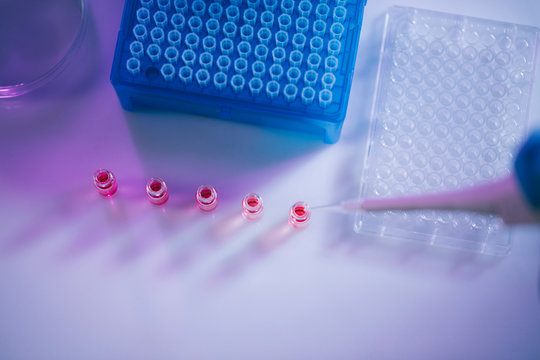 Working in laboratory