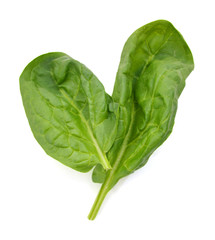 Fresh leaves of spinach on white background