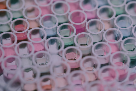 Working in laboratory