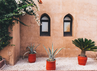Succulents and a terracotta wall.