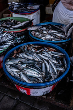 Fresh Fish On An Indonesian Market