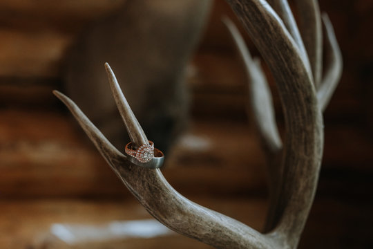 Wedding Ring Hanging on Antler