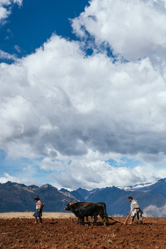 peruvian couple farming