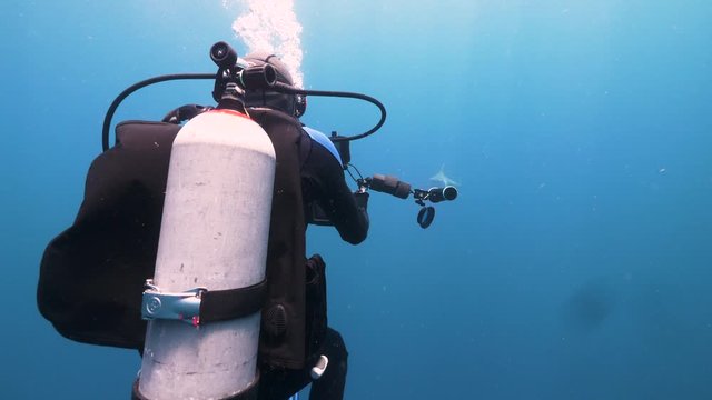 Diver films a sandbar shark
