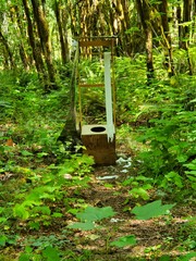 Outhouse in the Woods