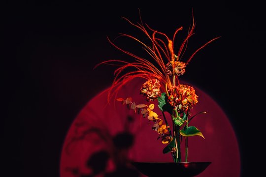 Mix of colorful flowers and red and brown branches against burgundy circle on dark wall