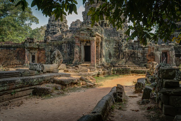 Temples of the Cambodia Jungle