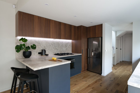 Modern kitchen interior with timber veneer