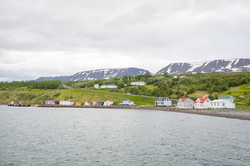 Fototapeta premium Village of Hjalteyri in Iceland