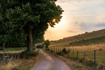 Rural country road on the Swedish west coast during golden sunset. Selective focus.