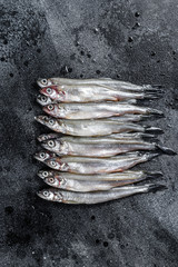 Fresh raw sea small fish smelt.  Black background. Top view