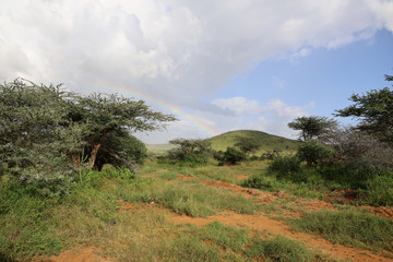 Rainbow over African Serengeti savanna landscape in Maasai Mara, Kenya, Africa