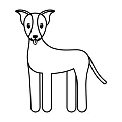 Isolated dog cartoon. Happy pet - Vector illustration