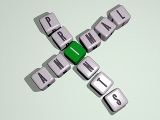 animal prints crossword by cubic dice letters, 3D illustration for background and cute