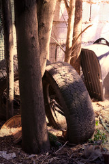 Fototapeta na wymiar Discarded tires and junk dumped in a backyard