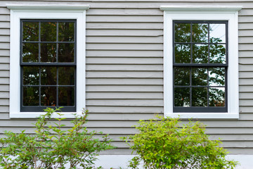 Two vintage identical double hung windows with trees reflecting on a beige color exterior wall. The windows are dark green with a white trim. There's two small green shrubs in front of the building. 