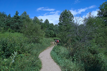 Hiking trail in a nature preserve with alternating forests and meadows