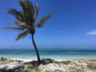Beautiful beach view in Zanzibar