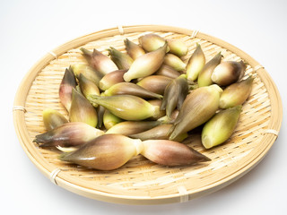 竹製ザルに入れたミョウガ