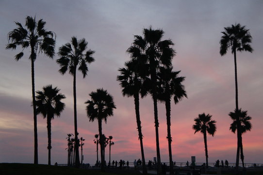Los Angeles Pink Sunset, California