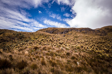 Naklejka na ściany i meble Paisajes del parque Nacional los Nevados PNN, nevado del Ruiz, el Cisne, montalas de Colombia, Antioquia, Quindio, Caldas y Risaralda