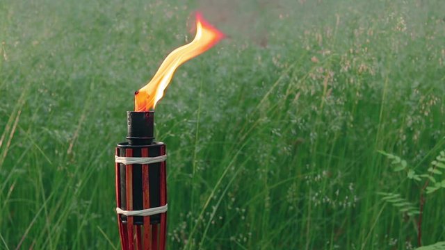 Bambo Torch Burning in the European Forest. Decorative Tropical Candle Has a Massive Orange Flame Using Oil Fuel or Kerosene. Closeup Static Shot